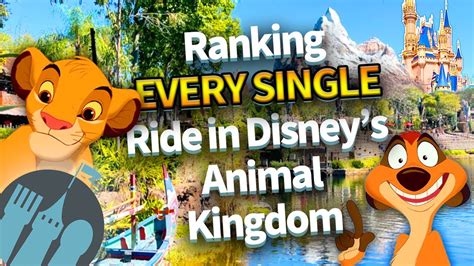 Animal Kingdom Free Energy .